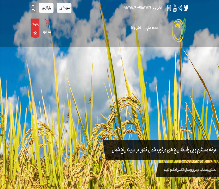 بازرگانی برنج شمال