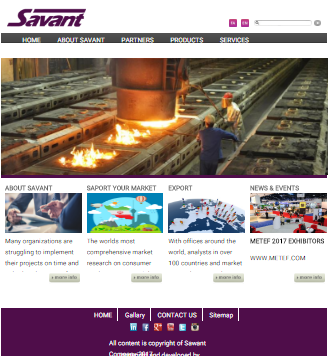 وب سایت شرکت بازرگانی ساوانت